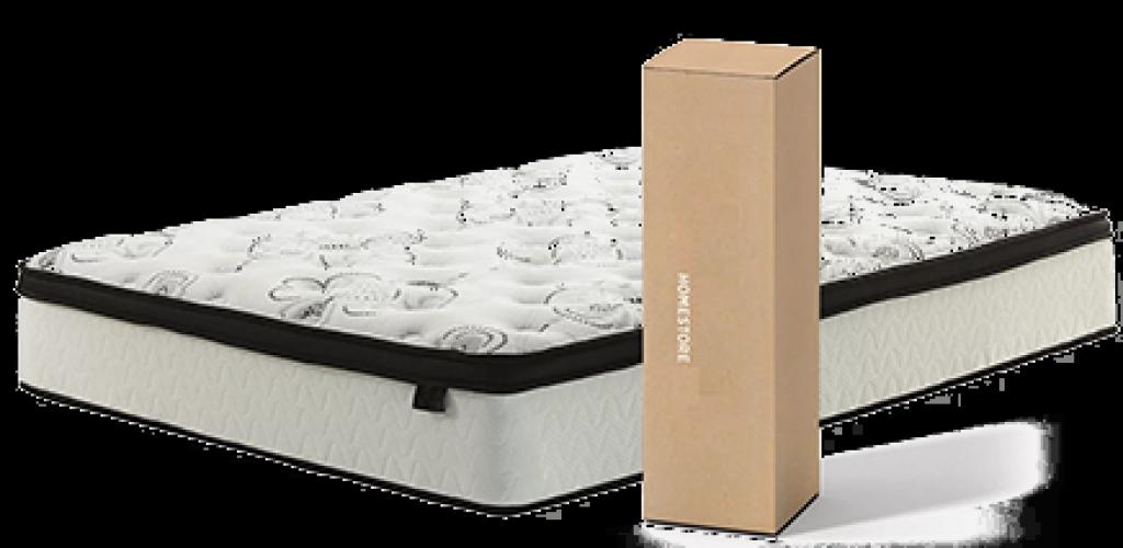 סילי סטיילבד ג'נסיס סילי סטיילבד ג'נסיס