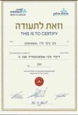 ניב ביבי