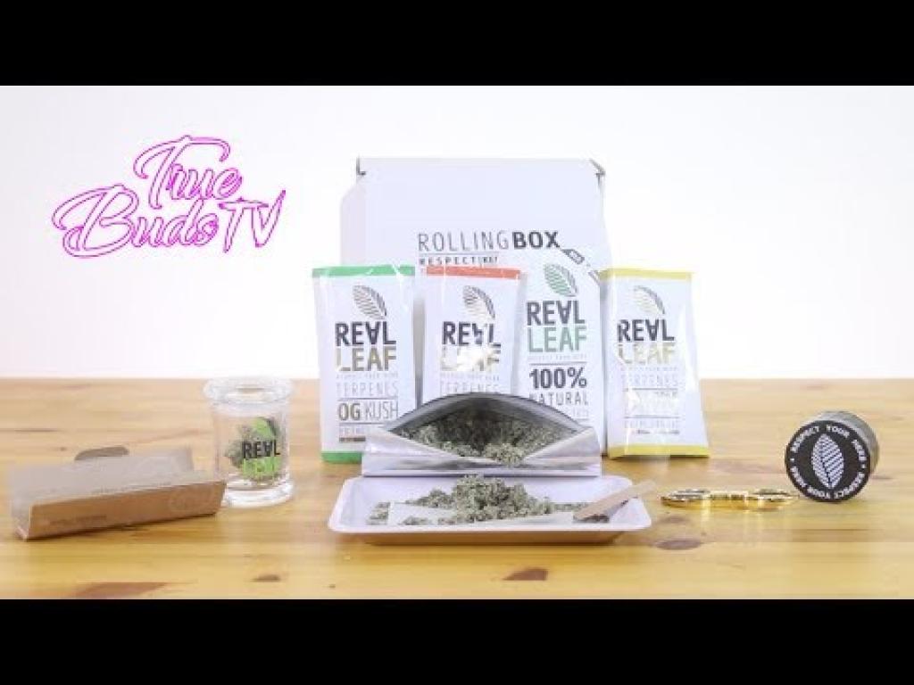 ריליף ריליף