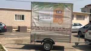 ויינגולד משה
