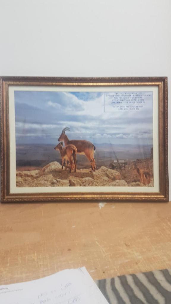 יואל מסגרות יואל מסגרות