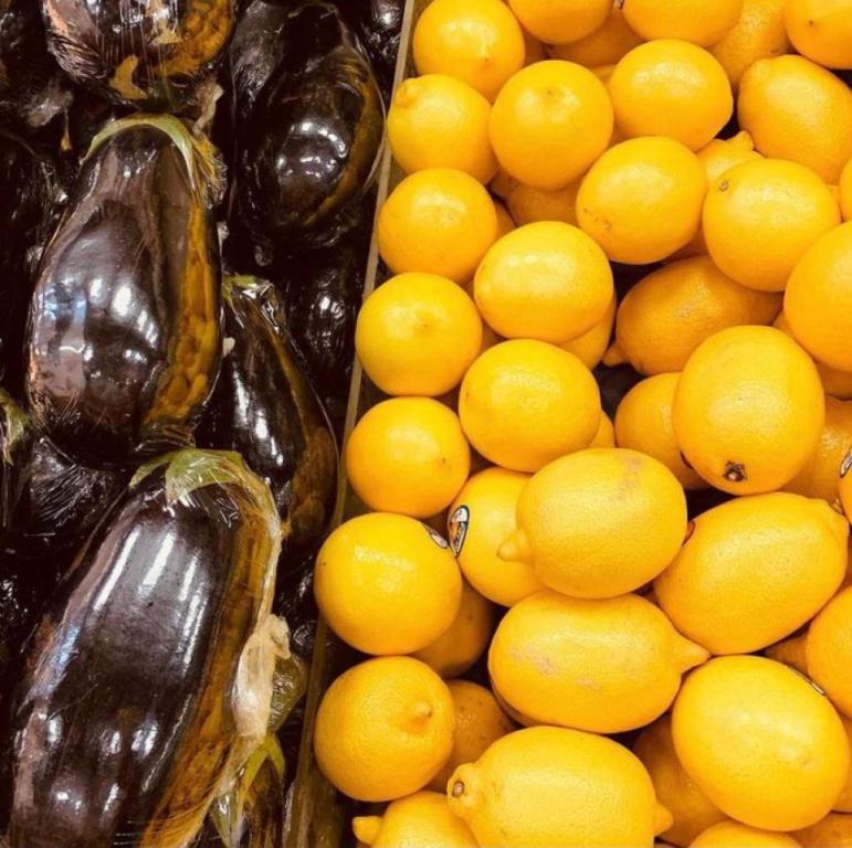 השדה הנדיב השדה הנדיב