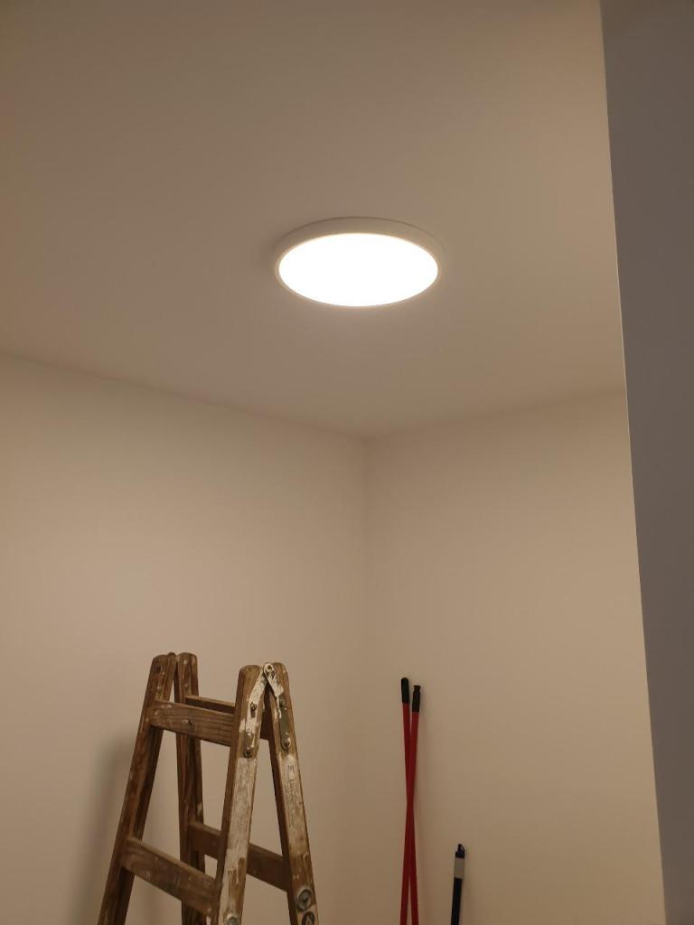 אורן כורש אורן כורש