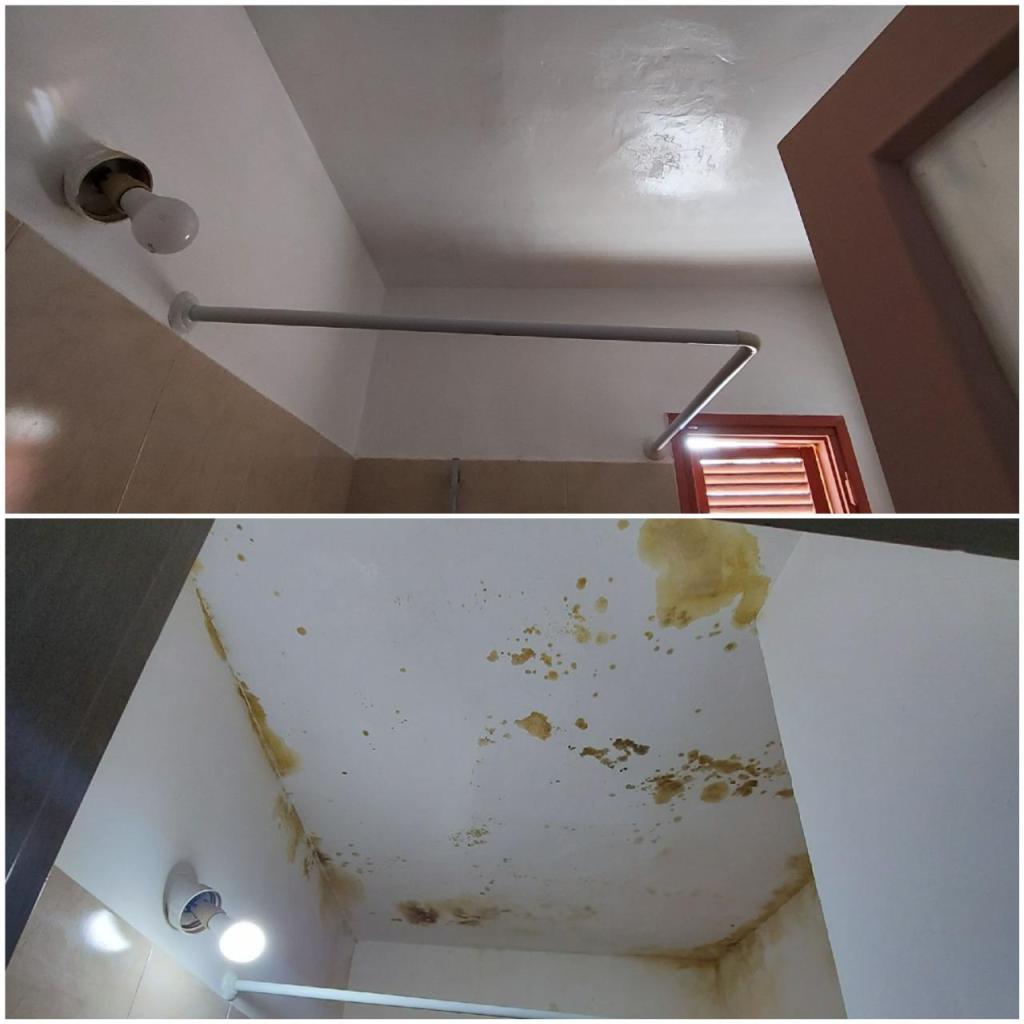 שי ופאר שי ופאר