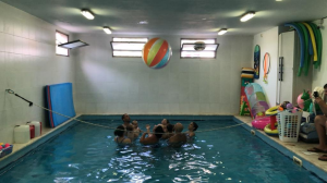 צוללים עם לימור  מנוהל