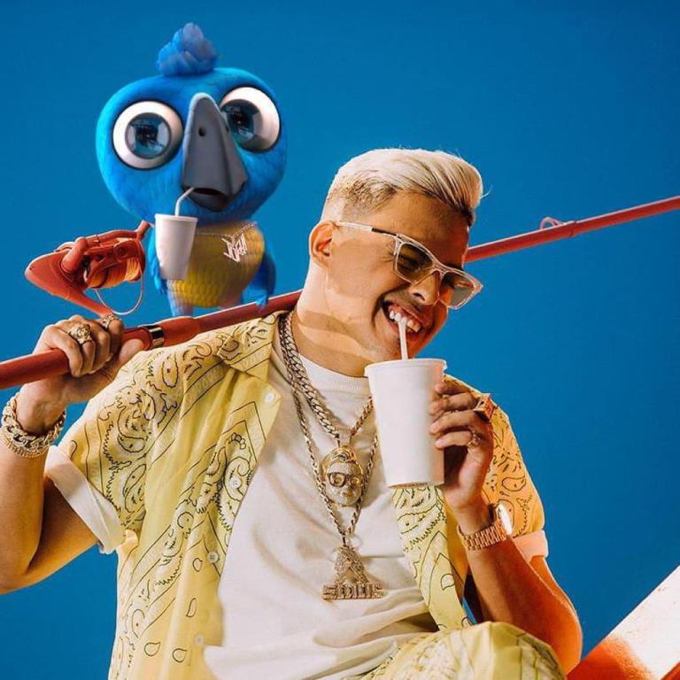 פאטושה אופטיקה פאטושה אופטיקה