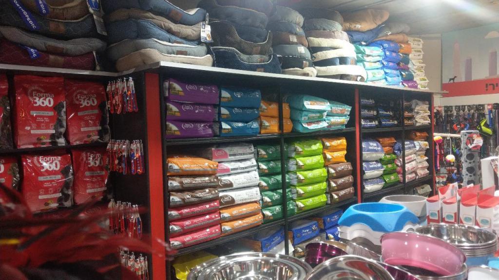 סיטיפט סיטיפט