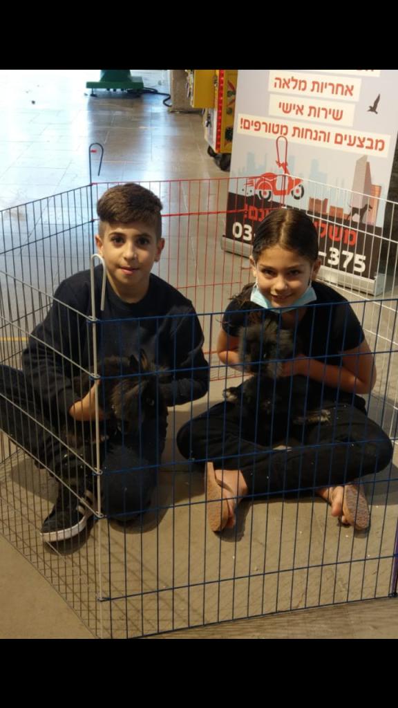 סיטיפט סיטיפט