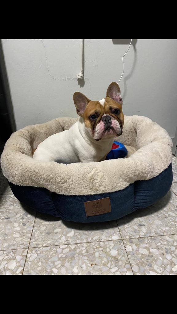 סיטיפט סיטיפט