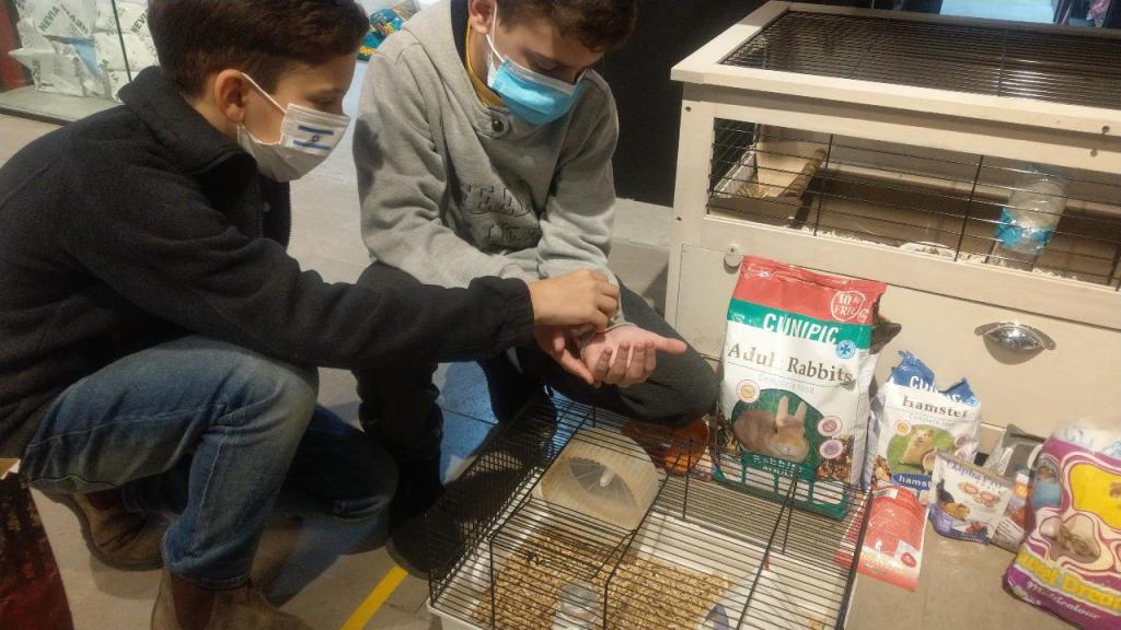 סיטיפט סיטיפט