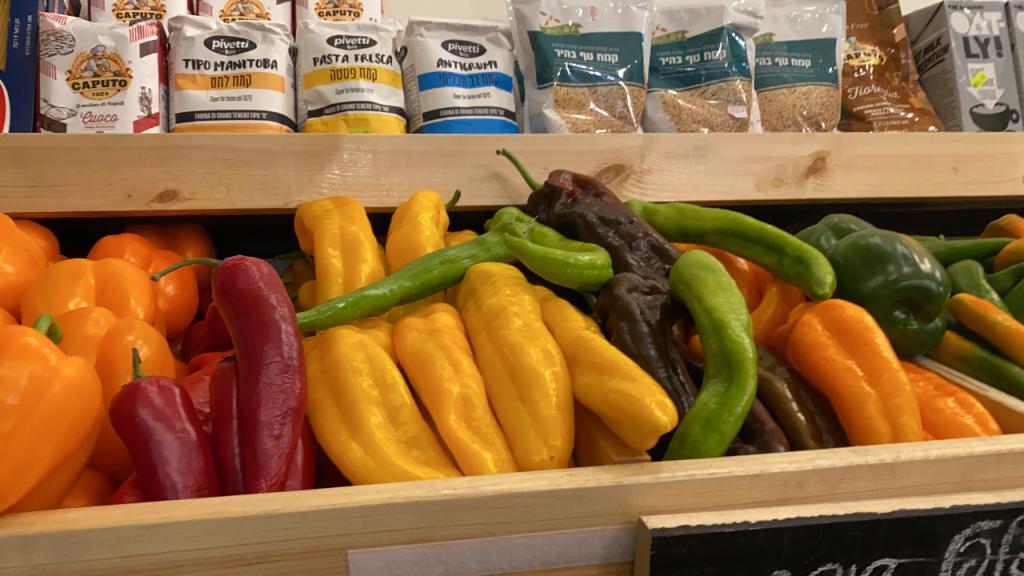 נונע ובן נונע ובן