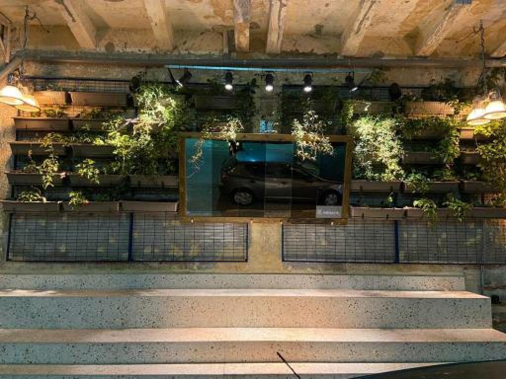 נאבי יונה נאבי יונה