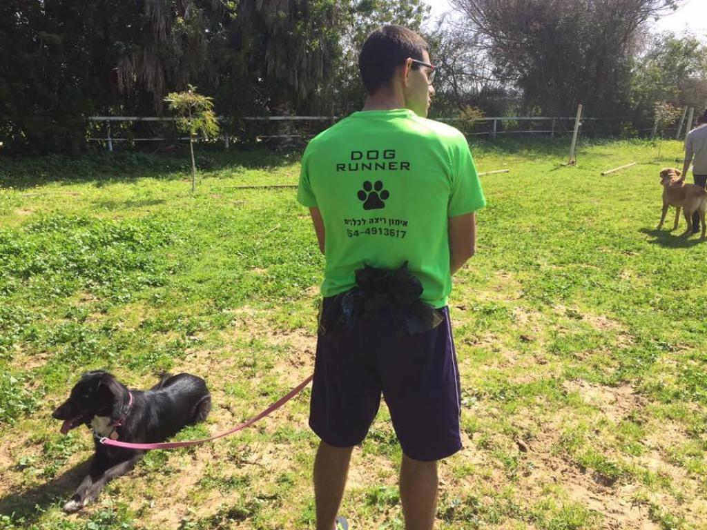 Dog Runner Dog Runner