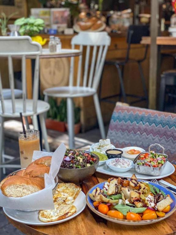 משתלת אוזן פיל משתלת אוזן פיל