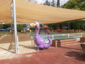 בריכת חגור  מנוהל