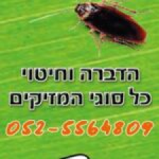 אור שירותי הדברה