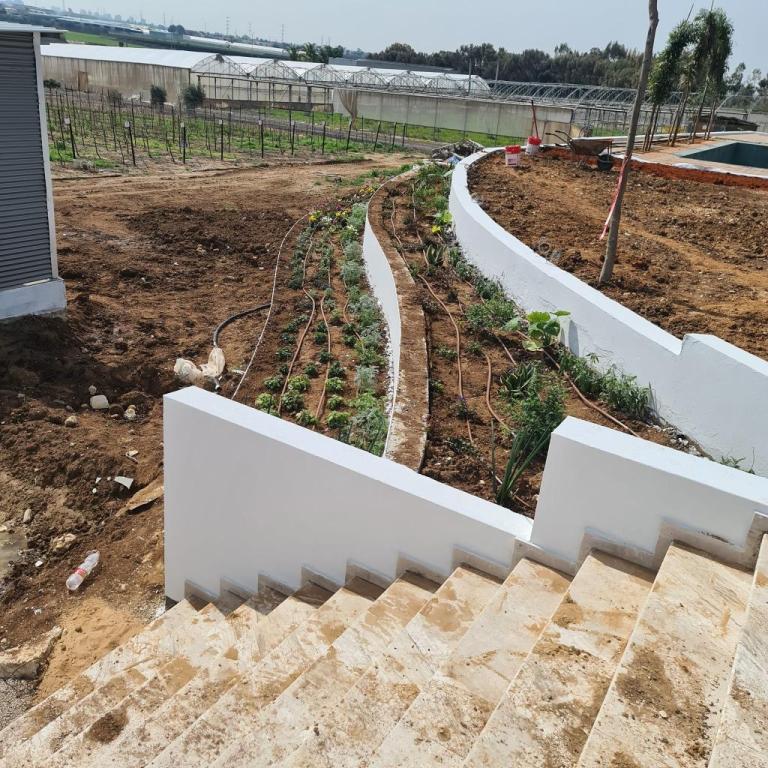 נדב גינון נדב גינון