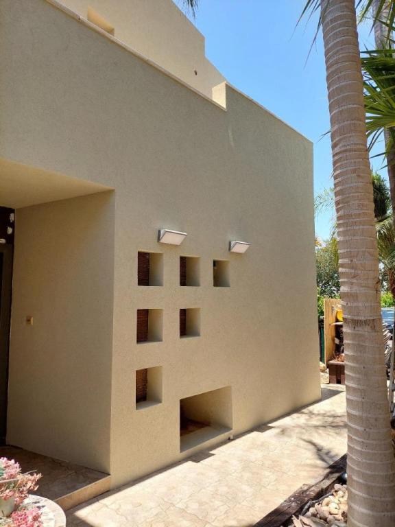 צ'יקו פרוייקטים צ'יקו פרוייקטים