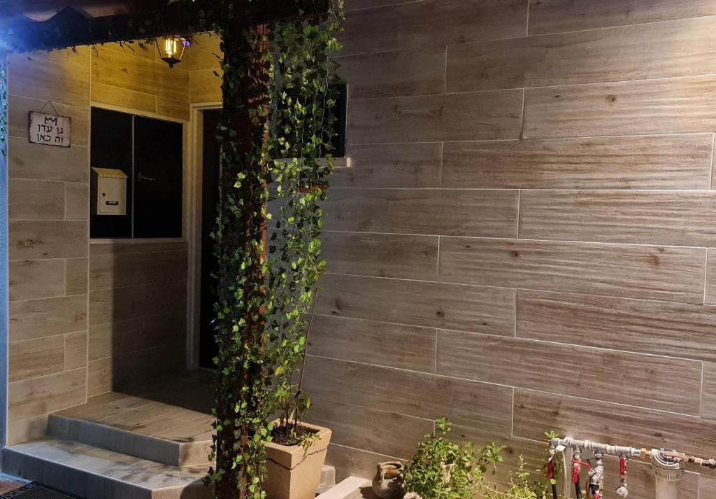 צח יצחקי שטיפה אנרגטית צח יצחקי שטיפה אנרגטית