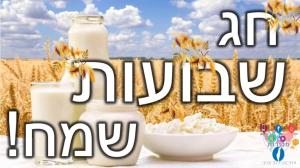 אלי clean