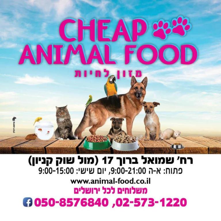 צ'יפ אנימל פוד צ'יפ אנימל פוד