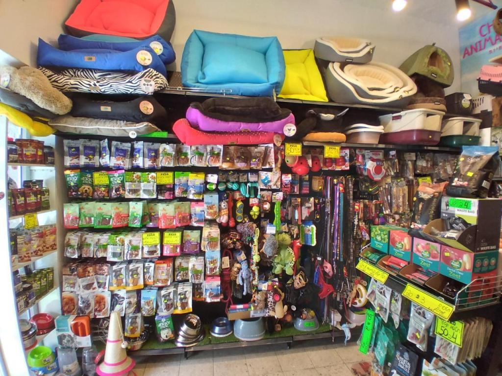 צ'יפ אנימל פוד צ'יפ אנימל פוד