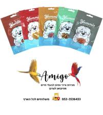אמיגו