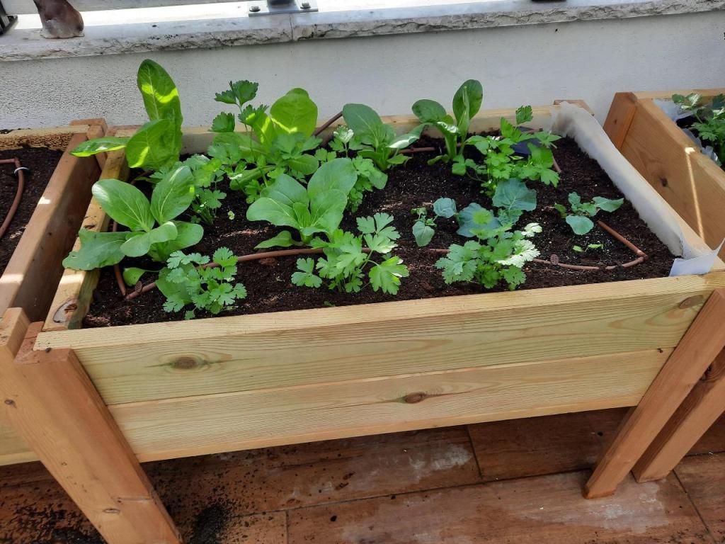 ליאור פאטאל עיצוב נוף ליאור פאטאל עיצוב נוף