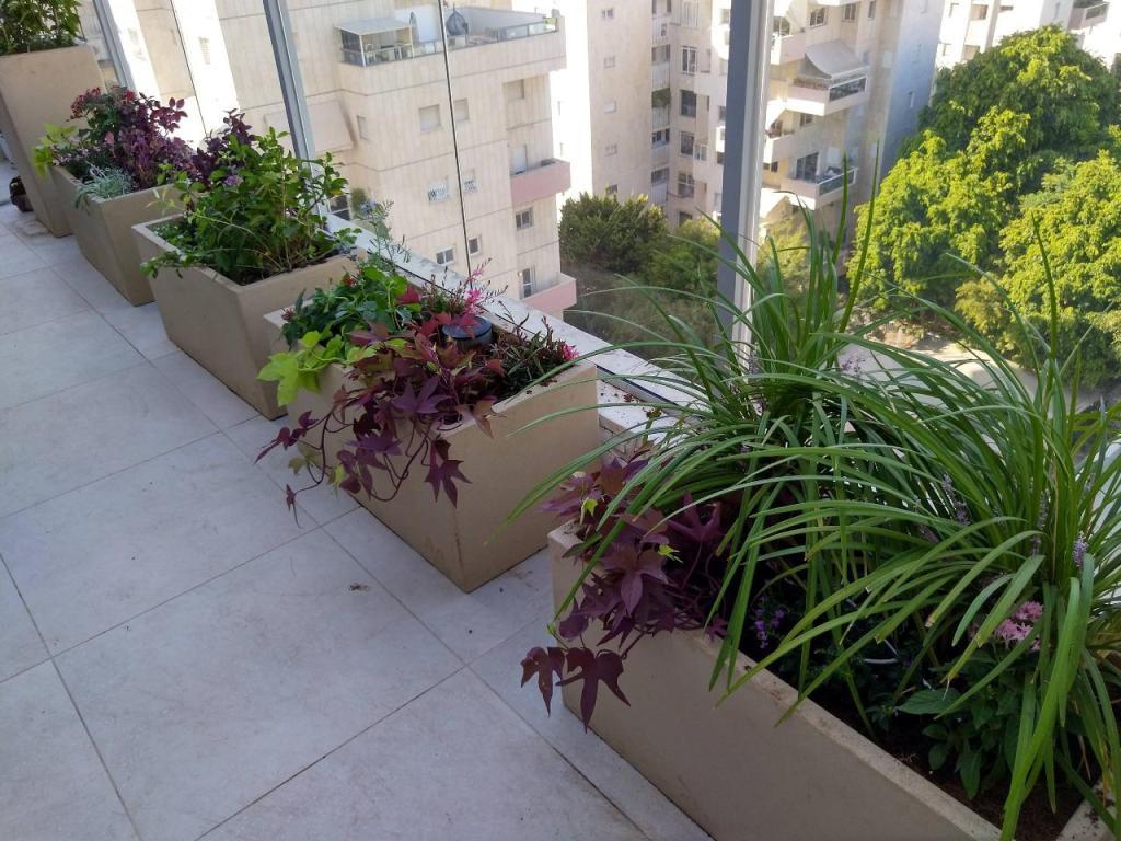 ליאור פאטאל עיצוב נוף ליאור פאטאל עיצוב נוף