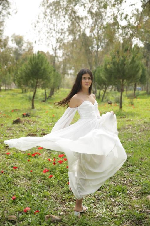 סיון לוי סיון לוי