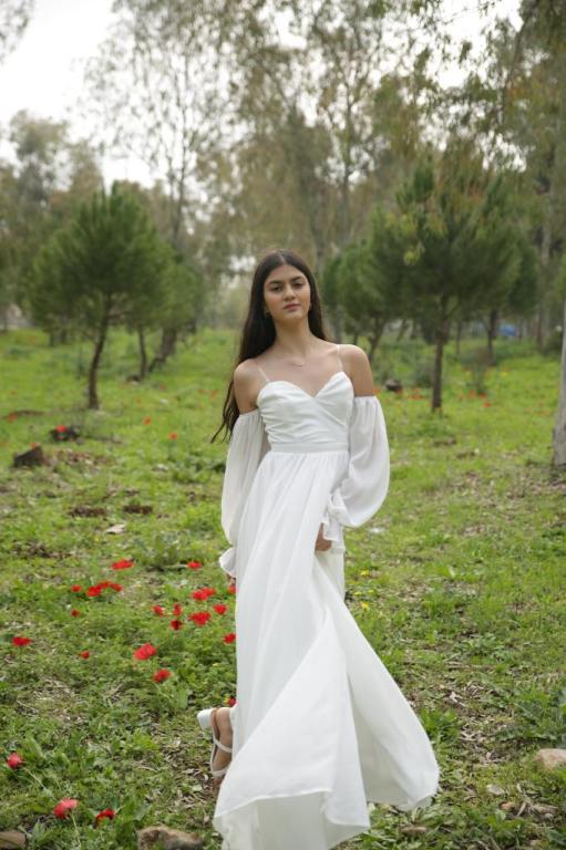 סיון לוי סיון לוי