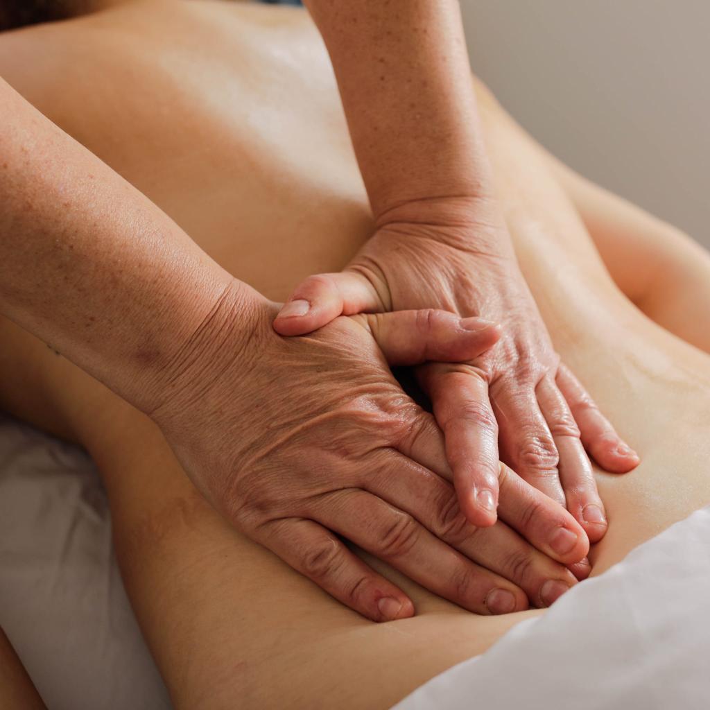 קסם המגע של ורד קסם המגע של ורד