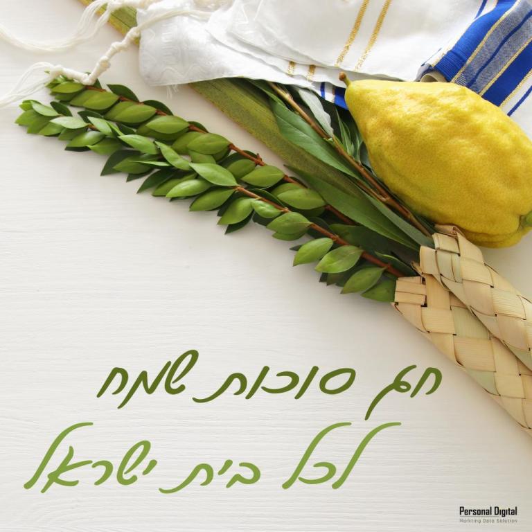 קסם המגע של ורד קסם המגע של ורד