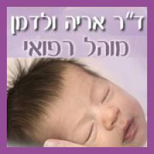 ולדמן אריה