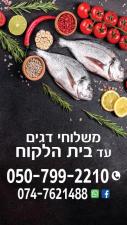 דאגאדא בית