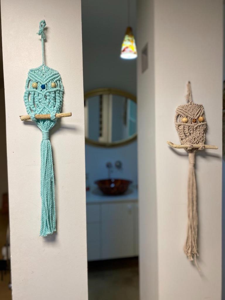 הגלריה של סיגל הגלריה של סיגל