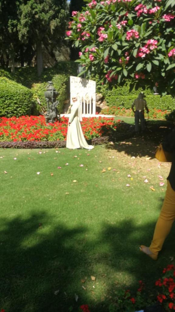 שלמה הסעות וטיולים שלמה הסעות וטיולים