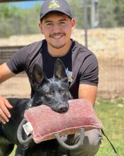 Dog's Pro