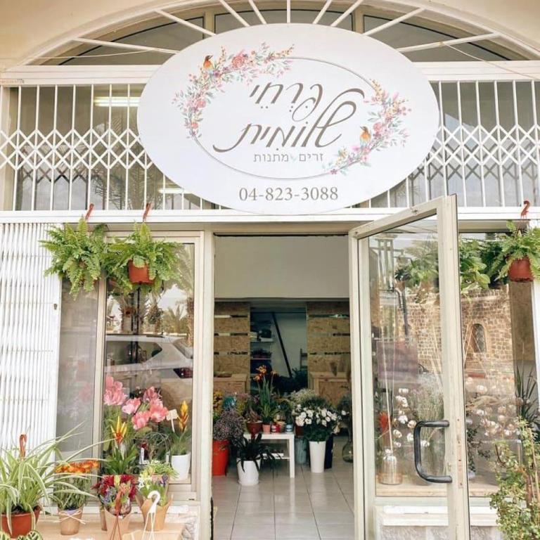 פרחי שלומית פרחי שלומית