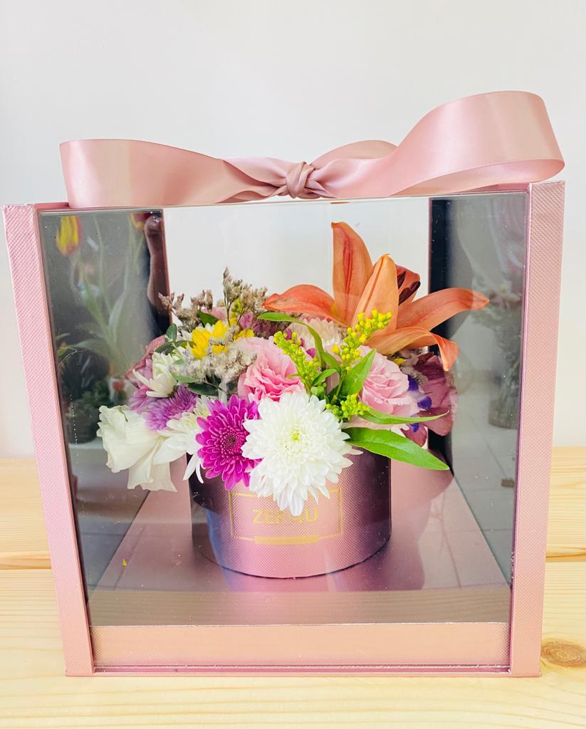 פרחי שלומית פרחי שלומית