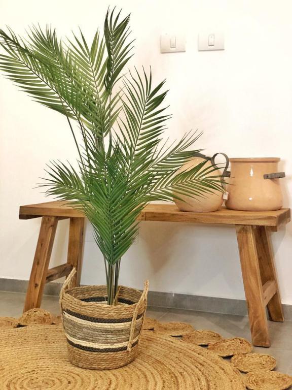 נובה הום אקססוריז נובה הום אקססוריז