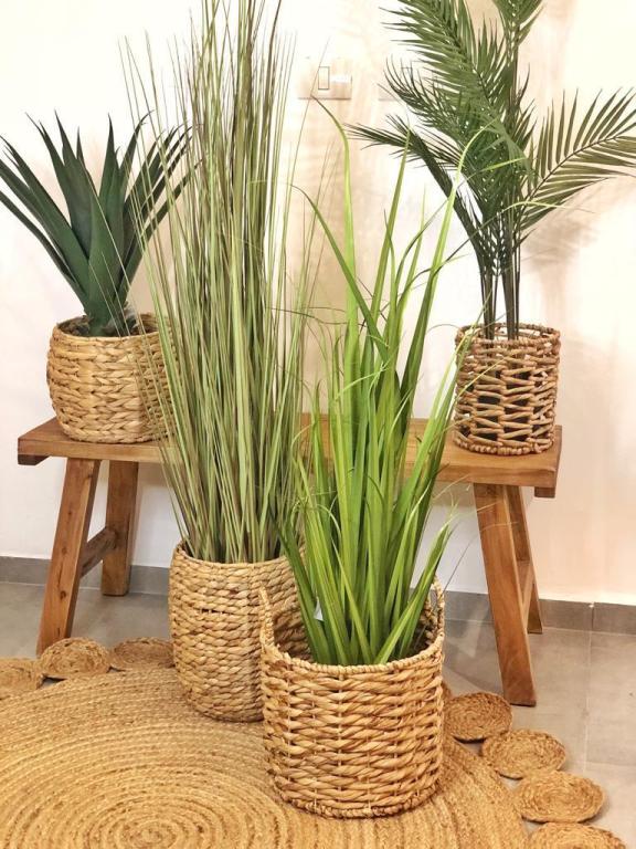 נובה הום אקססוריז נובה הום אקססוריז