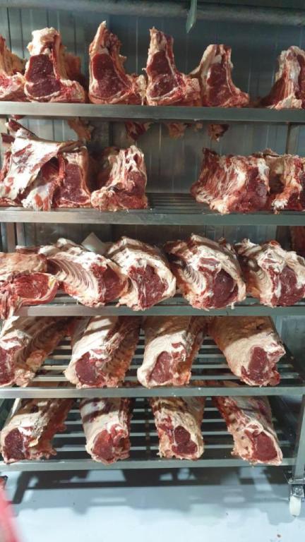 Carniceria Carniceria