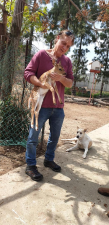 מרכז וטרינרי תמרת . ד"ר דניאל היימס  מנוהל