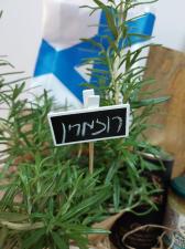 לילי מארזים שאוהבים