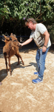 מרכז וטרינרי תמרת . ד"ר דניאל היימס  מנוהל