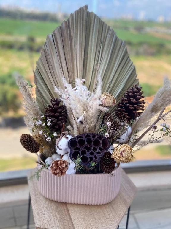 Ms balloons des Ms balloons des