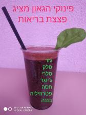 פינוקי הגאון