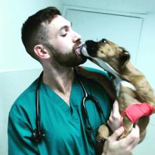 וטרינר עד הבית HomeVet