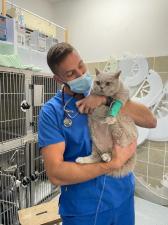 וטרינר עד הבית HomeVet
